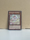 Mulcharmy Meowls