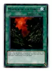 Murmur of the Forest