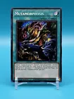 Mutamorphosis