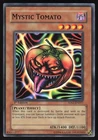 Mystic Tomato