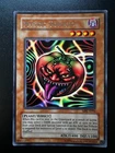 Mystic Tomato