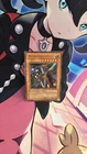 Mystical Knight of Jackal