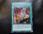 Nadir Servant