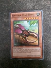 Naturia Stag Beetle