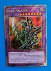 Dark Paladin