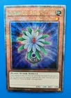 Glow-Up Bulb