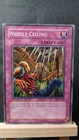 Needle Ceiling