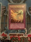 Phoenix Wing Wind Blast