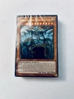 Divine Evolution
