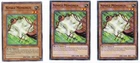 Nimble Momonga