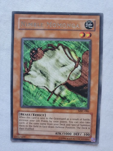 Nimble Momonga