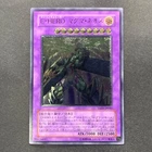 Elemental Hero Darkbright