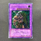 Elemental HERO Wildedge