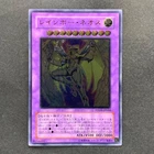 Rainbow Neos