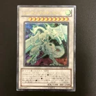 Shooting Star Dragon