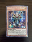 Noble Knight's Shield-Bearer