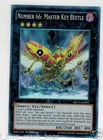 Number 66: Master Key Beetle