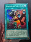 Obedience Schooled