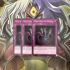 Gemini Trap Hole