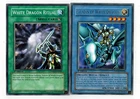 Paladin of White Dragon