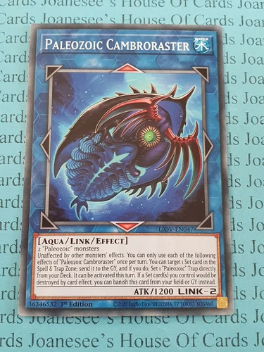 Paleozoic Cambroraster