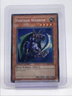Panther Warrior