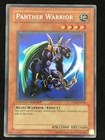 Shield Warrior