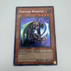 Shield Warrior