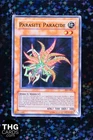 Parasite Paracide