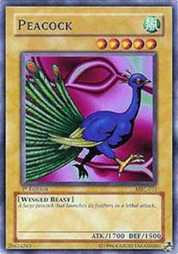 Peacock