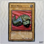 Petit Moth
