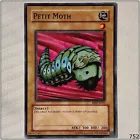 Petit Moth