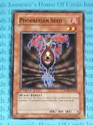 Phoenixian Seed