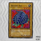 Prevent Rat