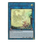 Protector Whelp of the Destruction Swordsman