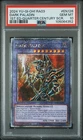 Dark Paladin
