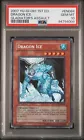 Dragon Ice