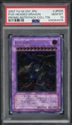 Blizzard Dragon