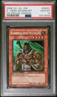 Elemental HERO Wildheart