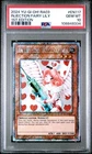 Injection Fairy Lily