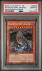 Rainbow Dark Dragon