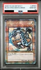 Metal Dragon