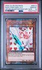Injection Fairy Lily