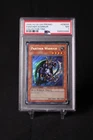 Panther Warrior