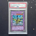 Gaia The Dragon Champion