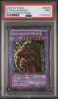 Elemental HERO Wildedge
