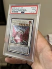 Black Rose Dragon