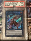 A Feather of the Phoenix
