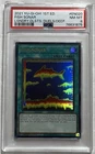 Fish Sonar