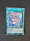 Purrely Pretty Memory